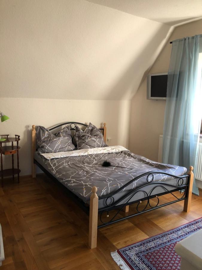 Ferienhaus Mit Pool Zum Traeumen Und Entspannen Fuer Alle Sinne Bad Schmiedeberg Exterior foto