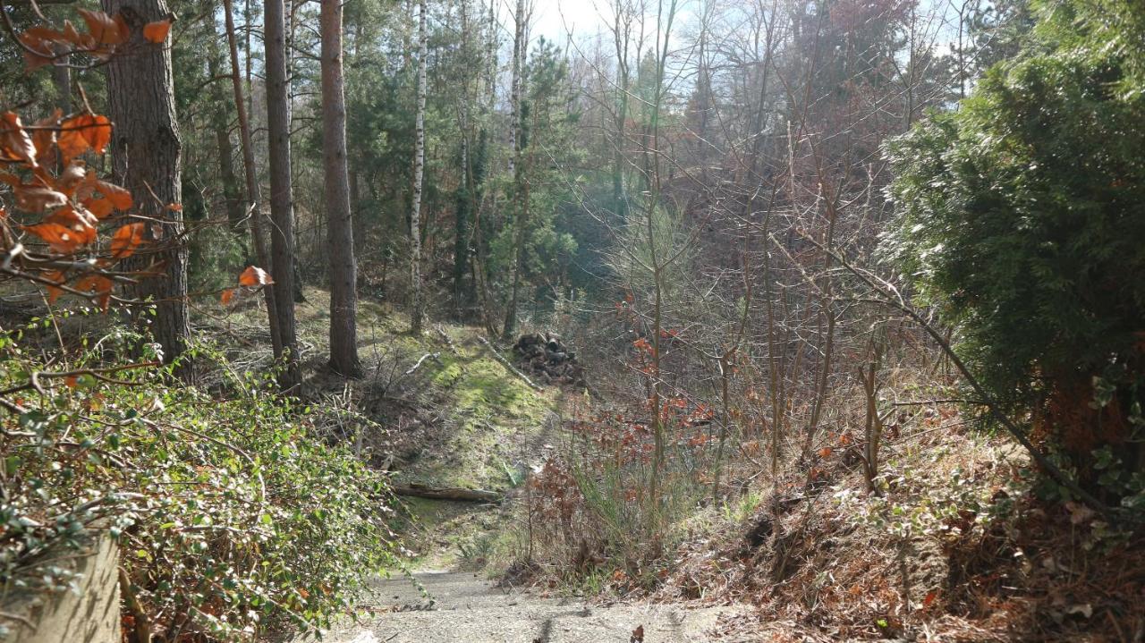 Ferienhaus Mit Pool Zum Traeumen Und Entspannen Fuer Alle Sinne Bad Schmiedeberg Exterior foto